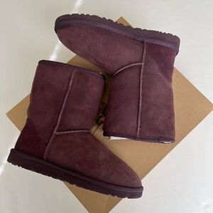 UGG Australia Classic Short 6 Eggplant